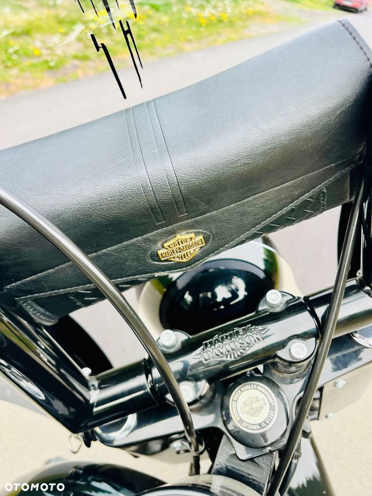 Harley-Davidson Softail Slim - 22