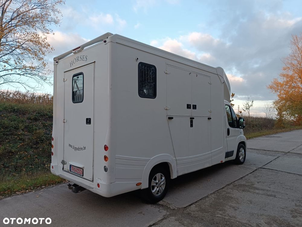 Fiat Ducato  2.3 Klima Koniowóz 2-konie - 5
