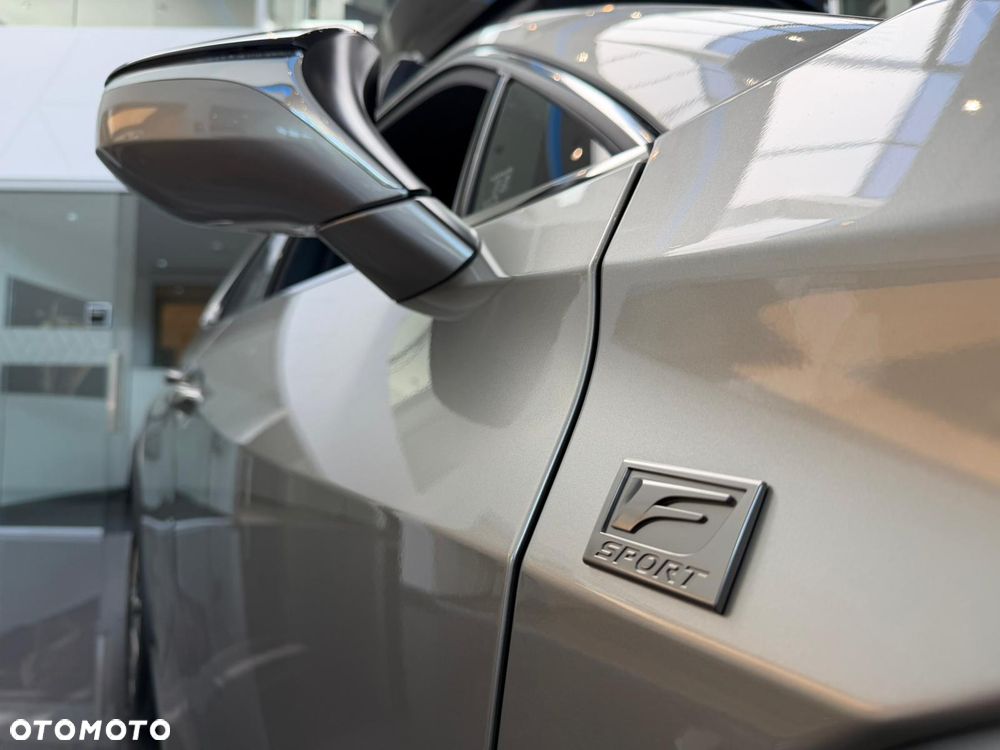 Lexus UX 300h F Sport Design - 19
