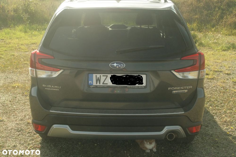 Subaru Forester 2021 photo 3