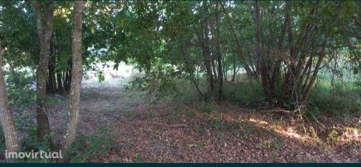 Vendo terreno Rústico - Grande imagem: 4/4