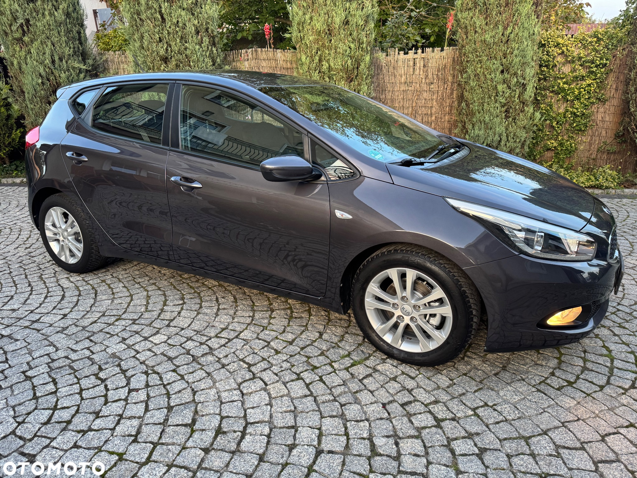 Kia Ceed 1.4 CVVT ISG Dream Team Edition - 7