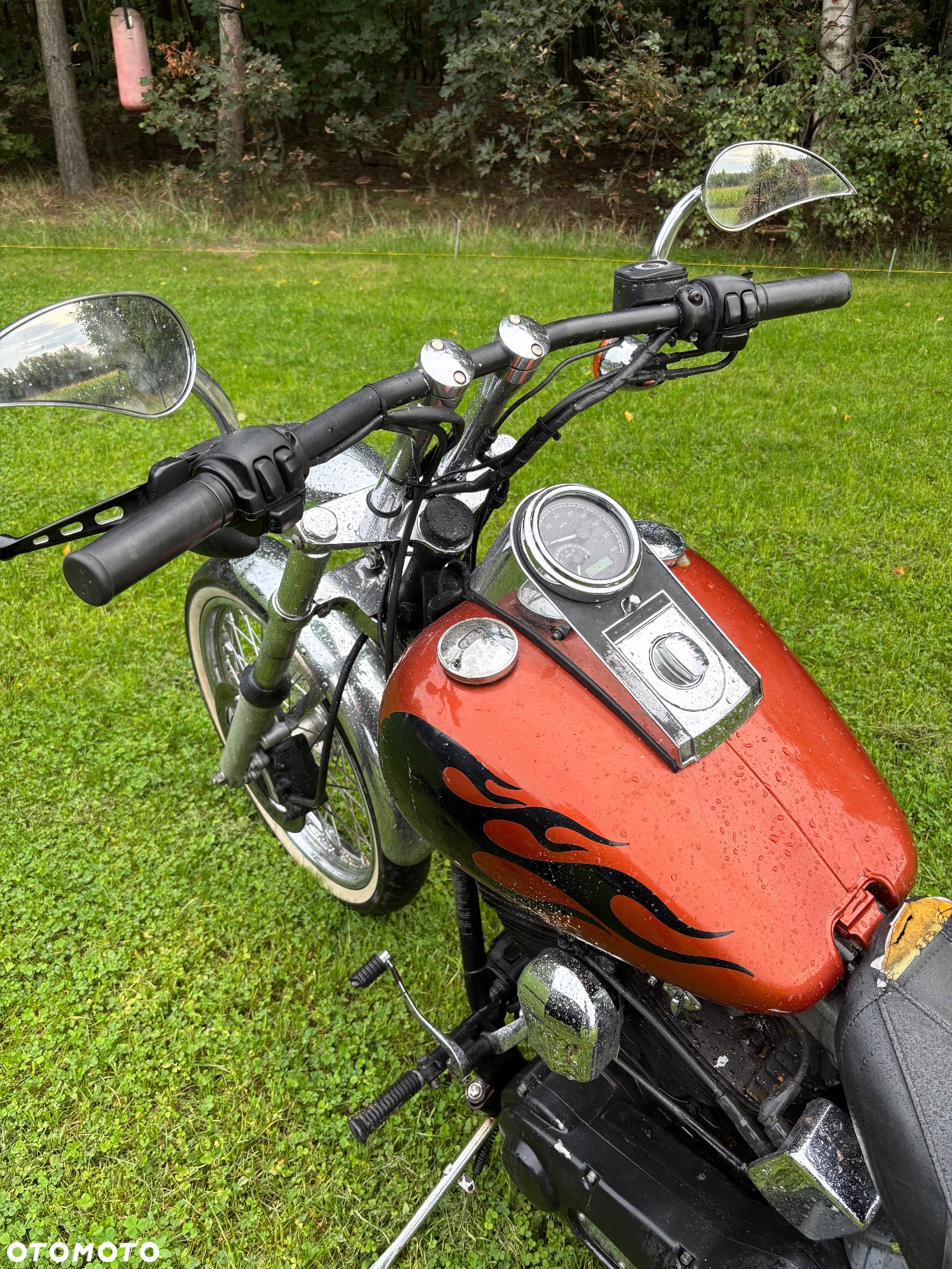 Harley-Davidson Softail Standard - 12