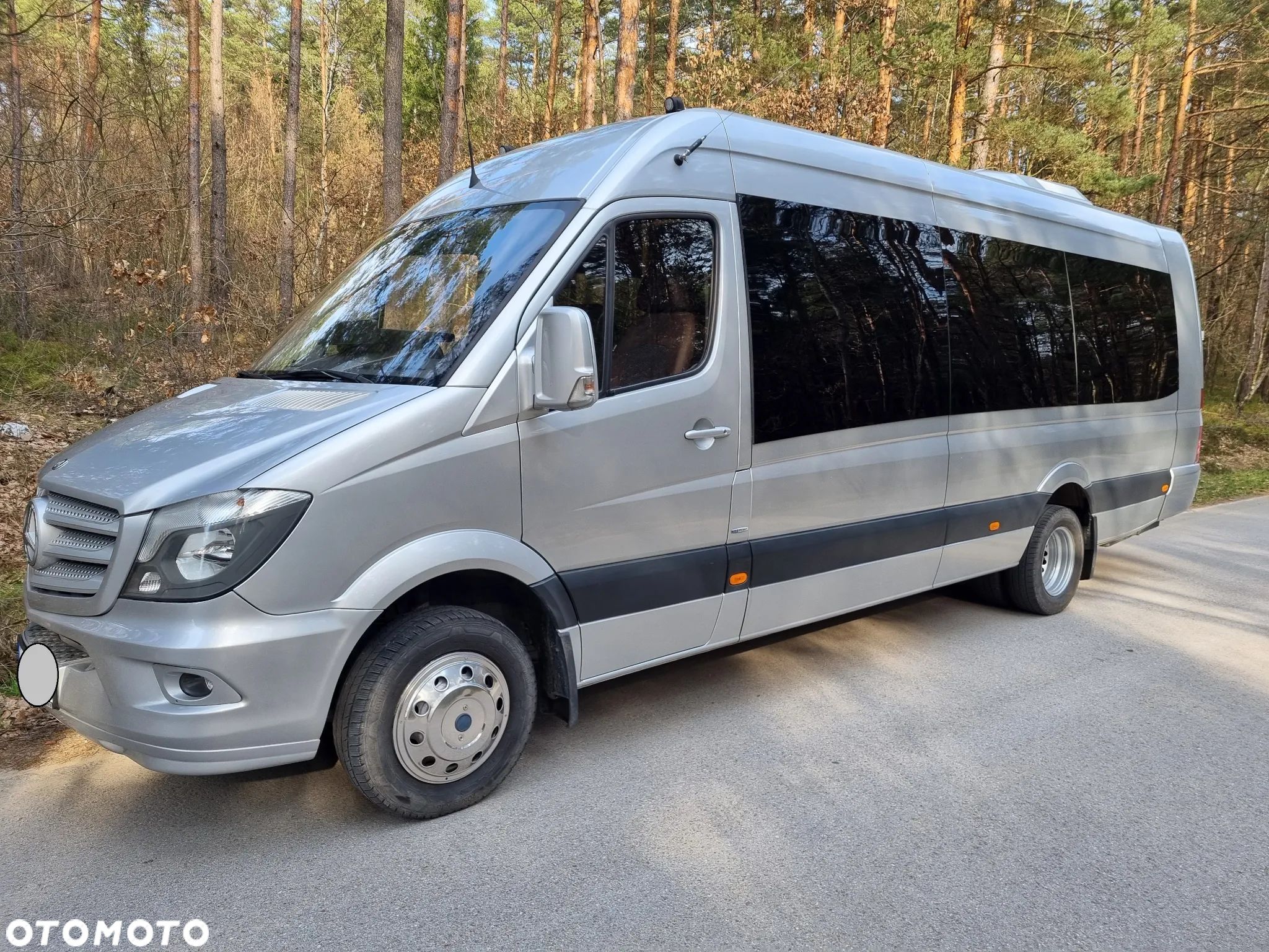 Mercedes-Benz Sprinter - 1