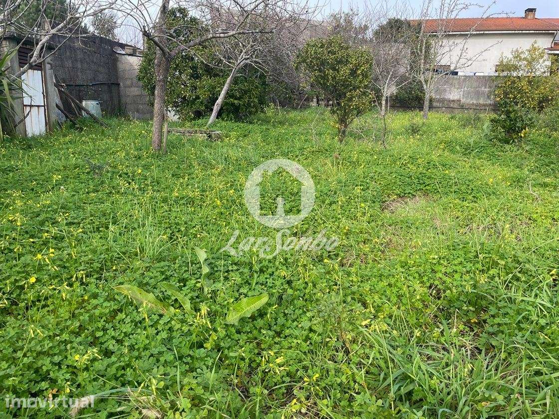 Terreno com 30m frente, para construção de Moradia com 1000m² em Co... - Grande imagem: 3/8