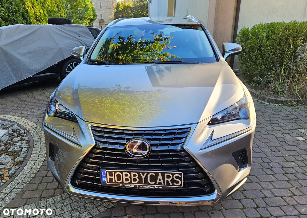 Lexus NX 300h Prestige AWD - 2