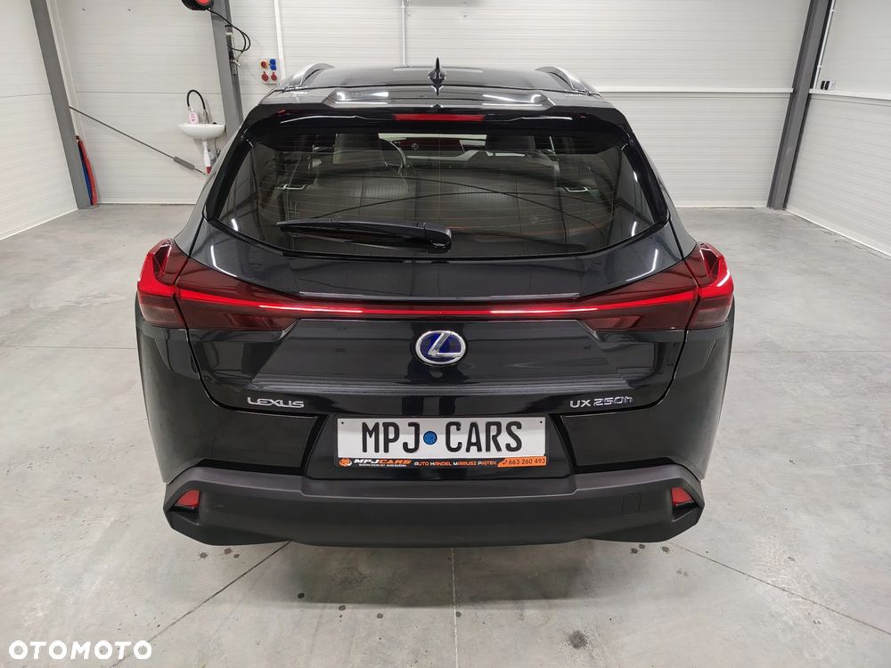 Lexus UX 250h Elegance 2WD - 11