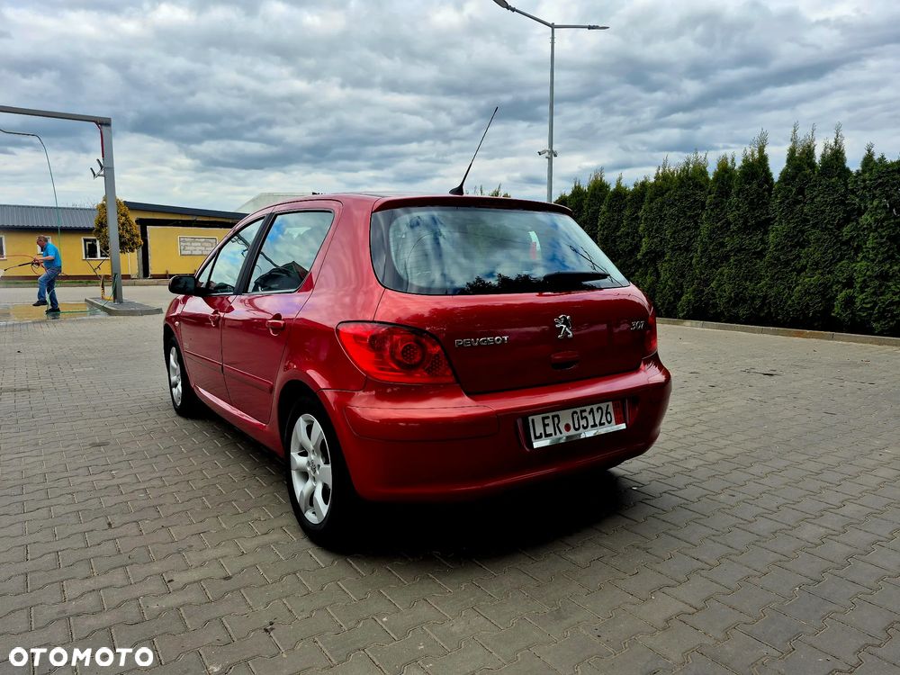 Peugeot 307 - 10
