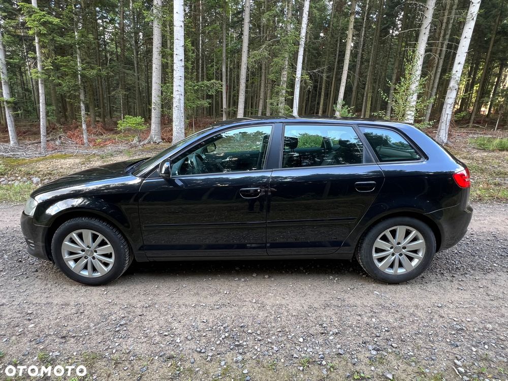 Audi A3 Sportback 1.9 TDI DPF Attraction - 3
