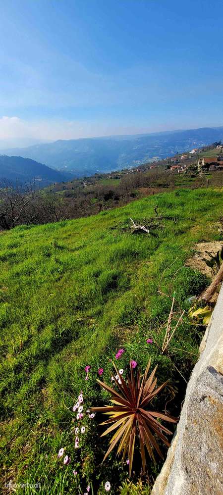 Terreno DOURO c/ projeto e licença! - Grande imagem: 5/14