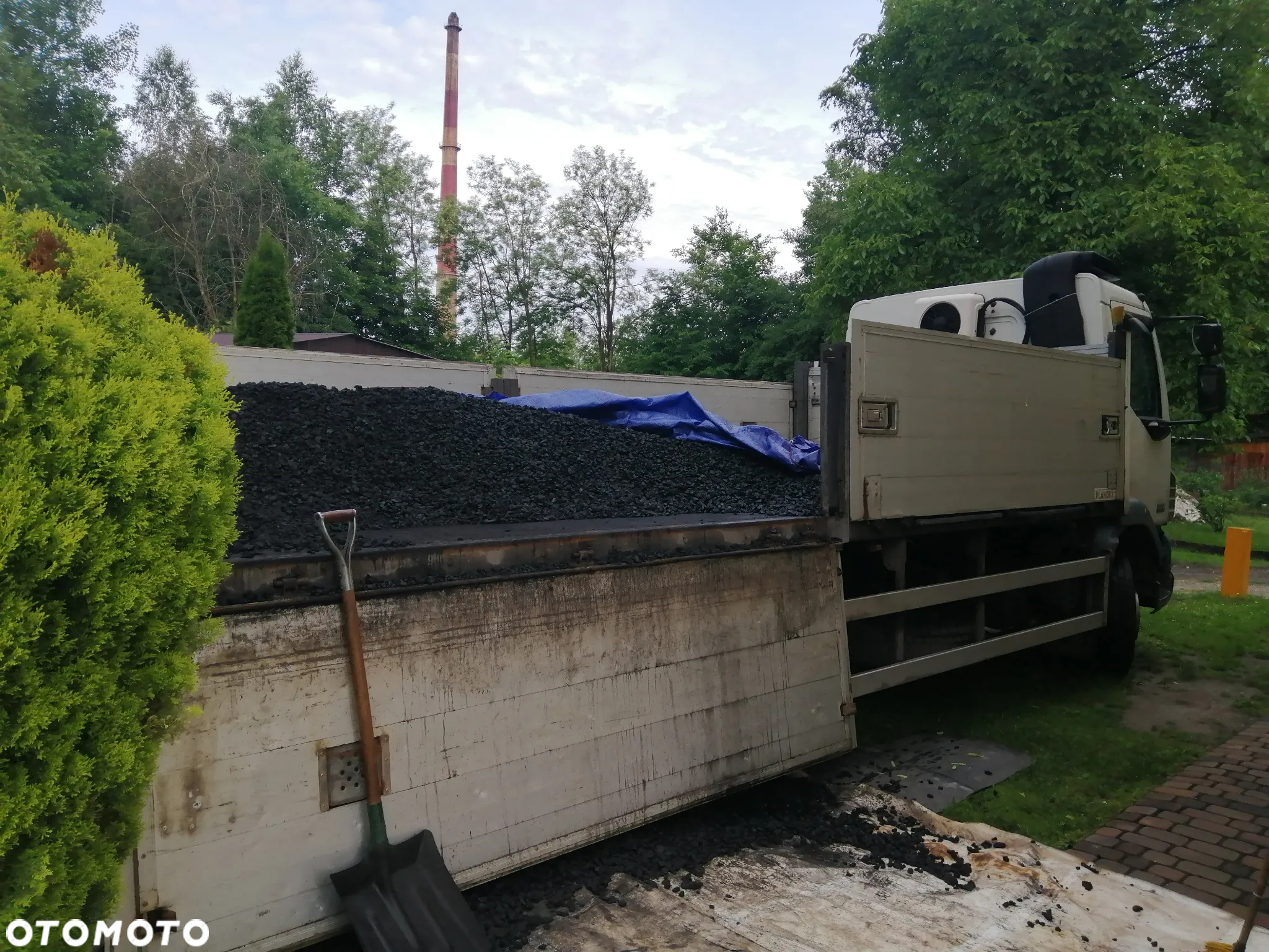 DAF LF 55 - 12