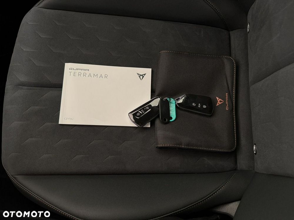 Cupra Terramar - 36