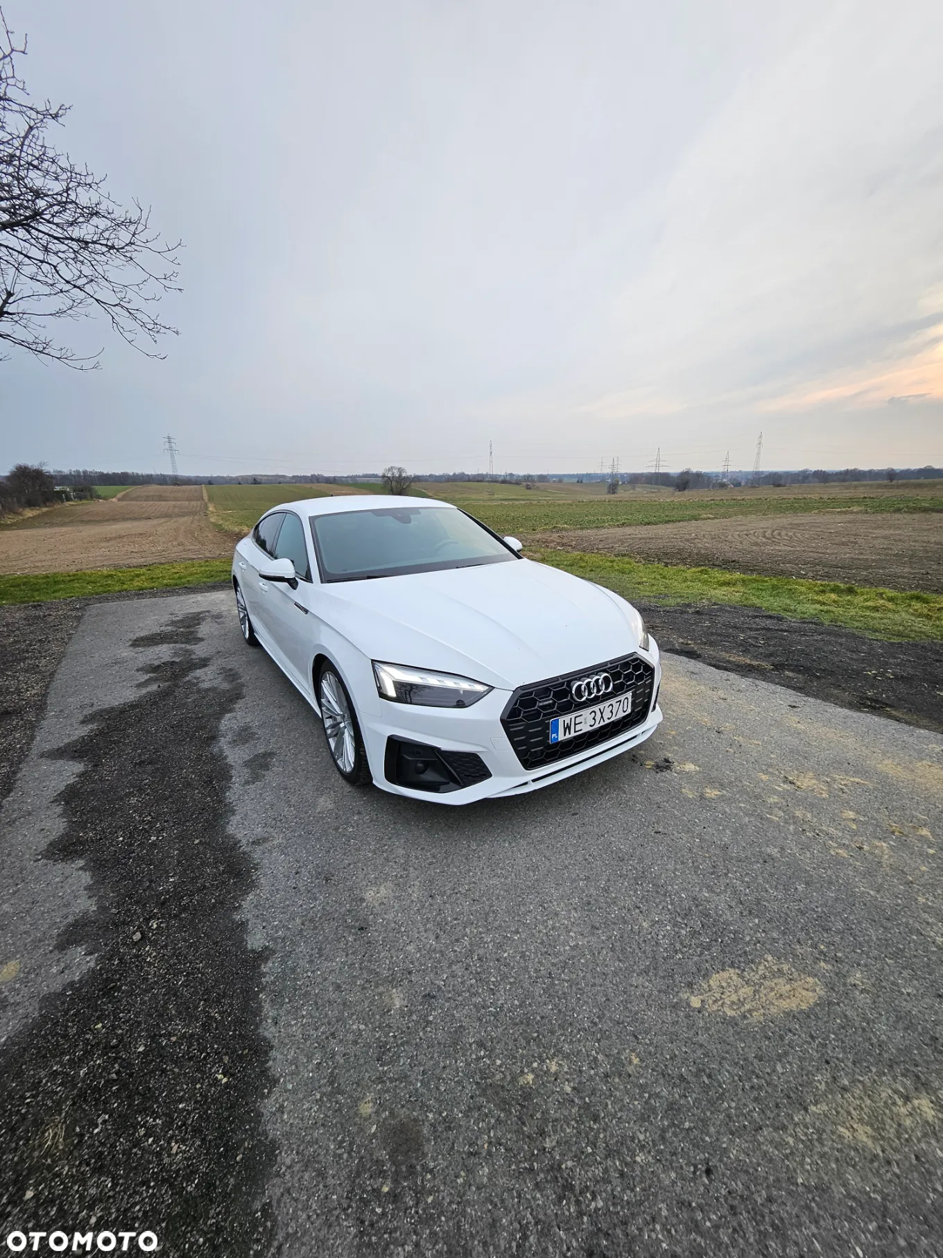Audi A5 40 TDI Quattro S Line S tronic - 26