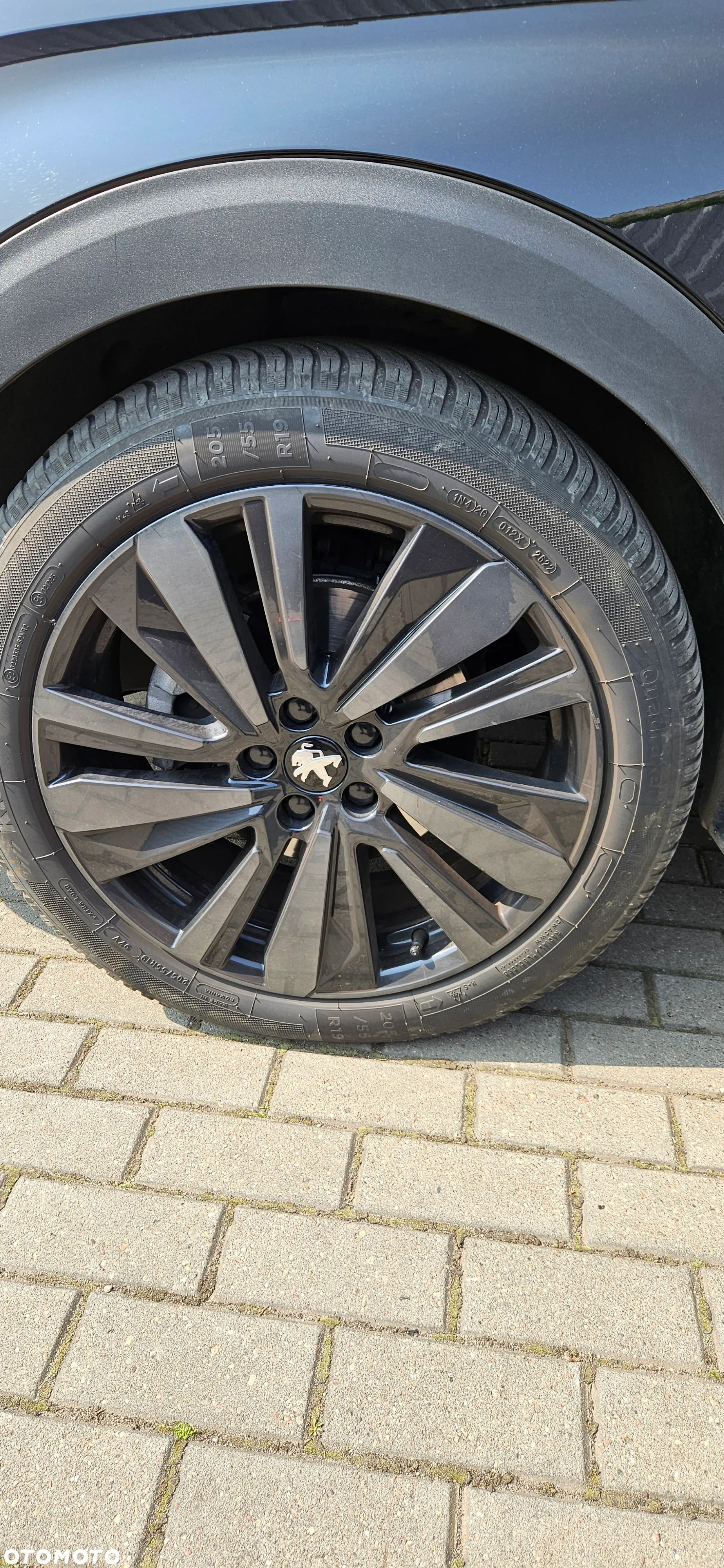 Peugeot 3008 1.5 BlueHDi GT Pack S&S EAT8 - 19