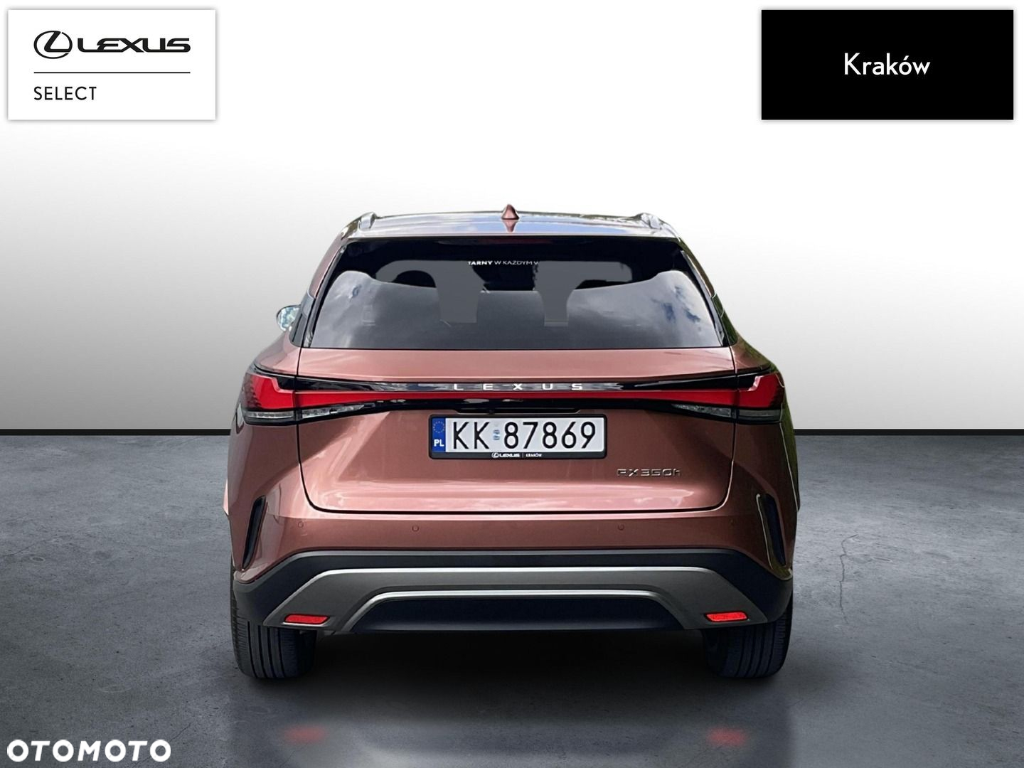 Lexus RX - 4