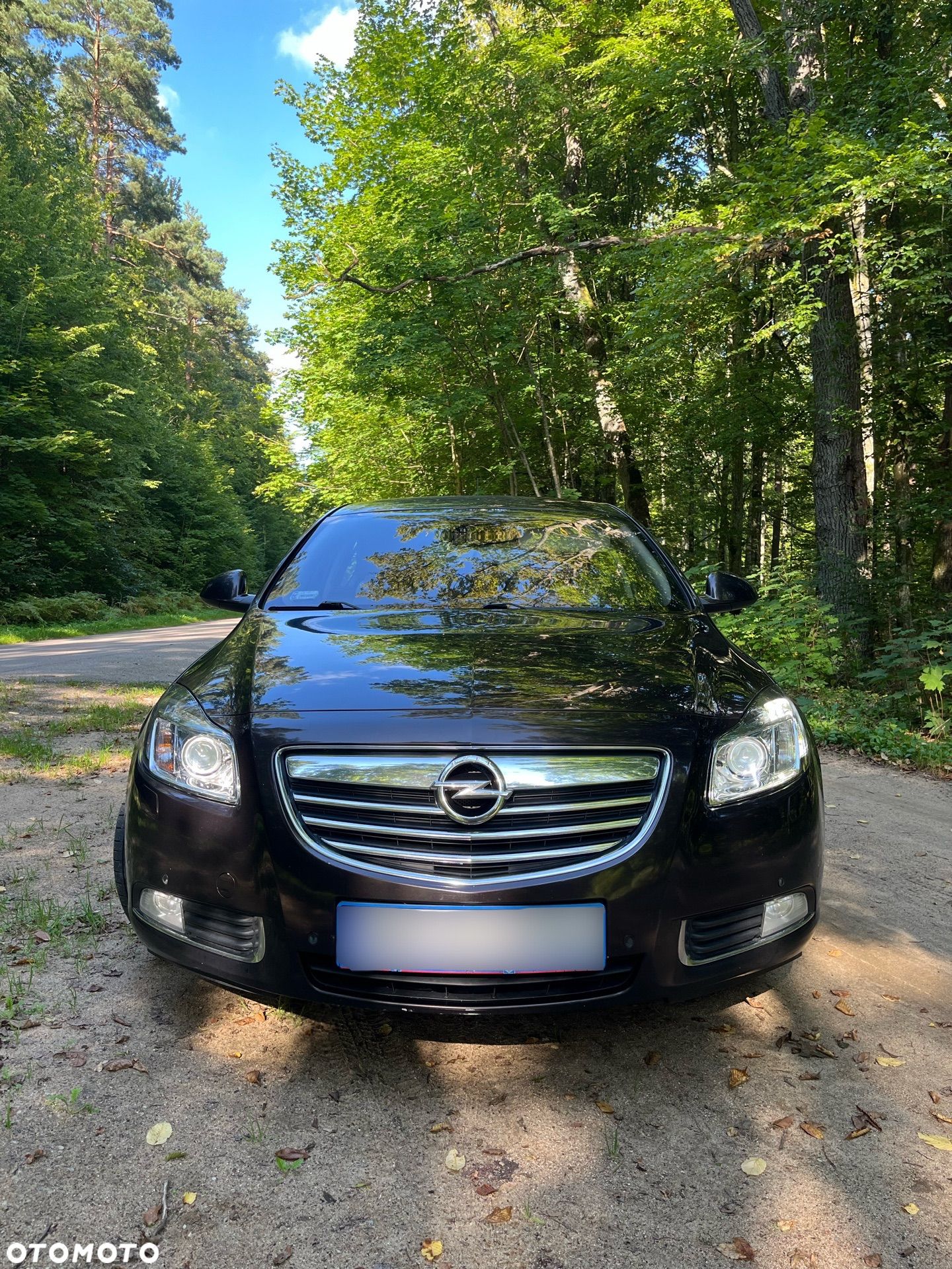 Opel Insignia 2.0 CDTI Cosmo - 1