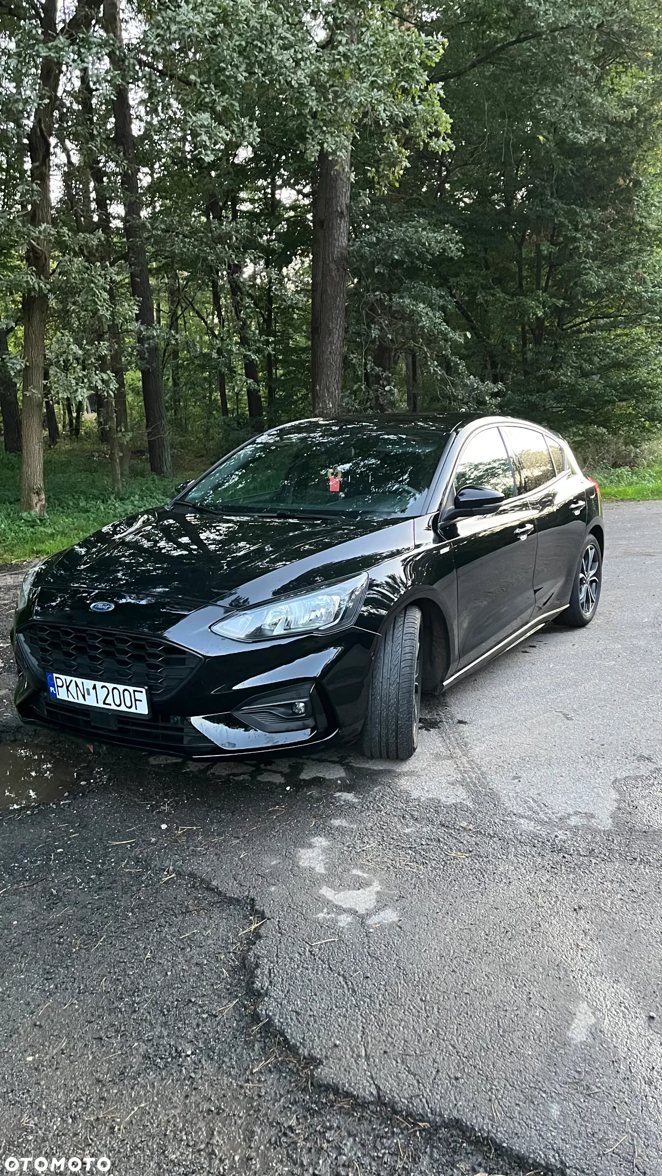 Ford Focus - 6