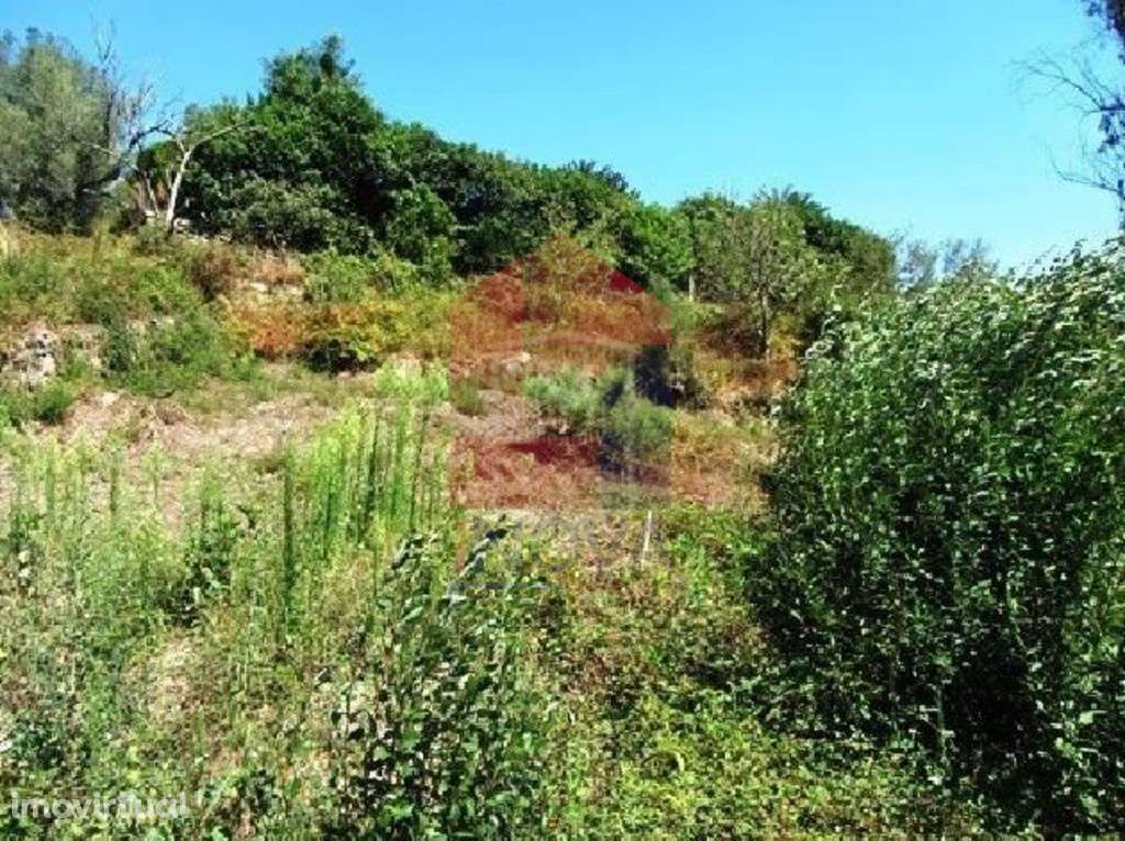Terreno em Ponte, Vila Verde - Grande imagem: 3/4