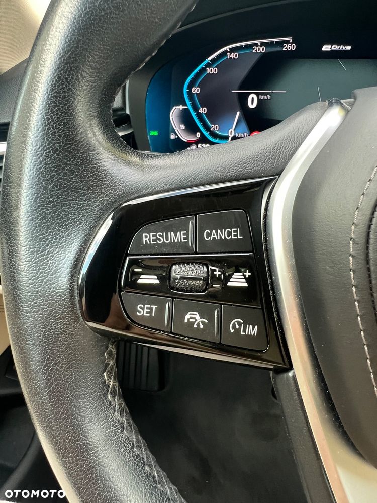 BMW Seria 5 530e xDrive - 30