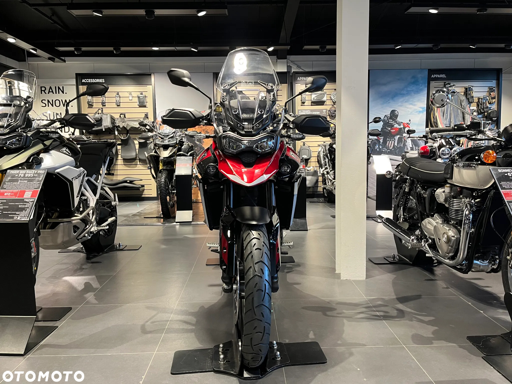 Triumph Tiger
