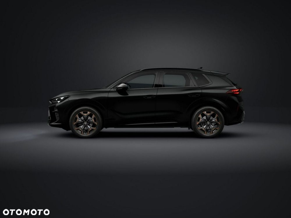 Cupra Terramar - 3