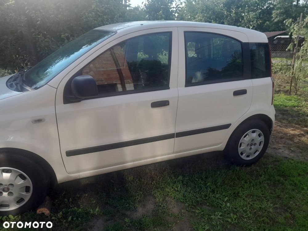 Fiat Panda 1.2 Young - 5
