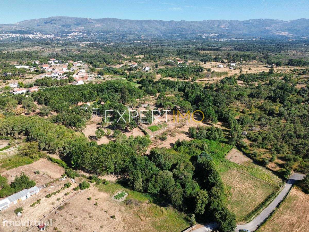 Terreno Rústico com 7.211 m² e Confinante com Ribeiro – Conchadas,... - Grande imagem: 2/5