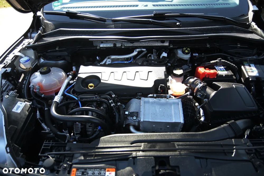 Ford Kuga 2.0 EcoBlue Hybrid TITANIUM - 36