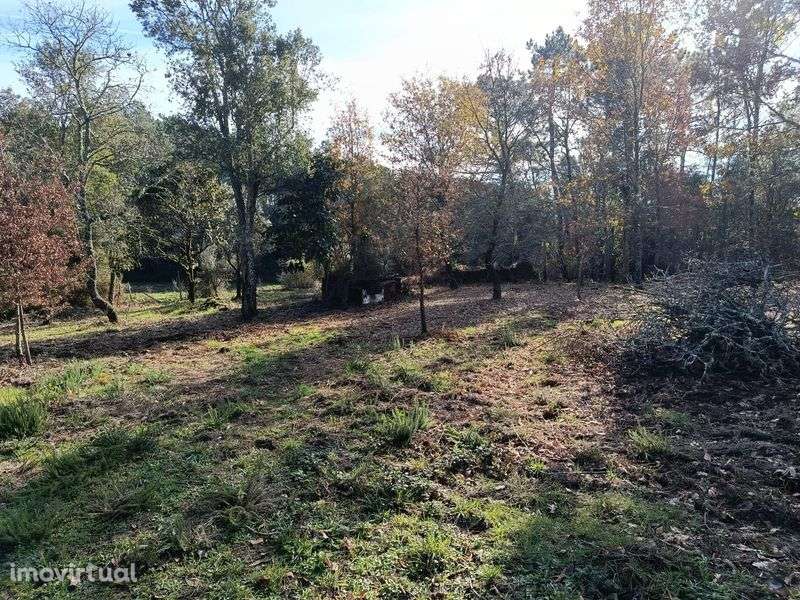 Vende-se quinta Cabeçudo, Sertã - Grande imagem: 5/12