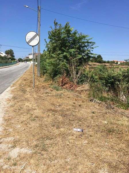 Vendo ou permuto por obras de remodelacao - Grande imagem: 2/3