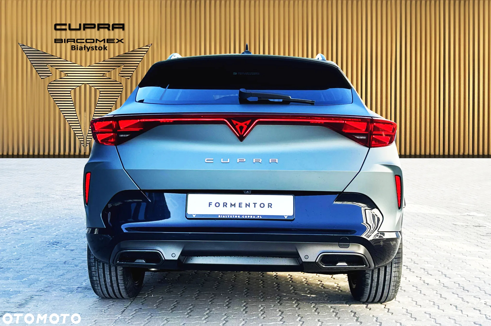 Cupra Formentor 1.5 TSI DSG - 5