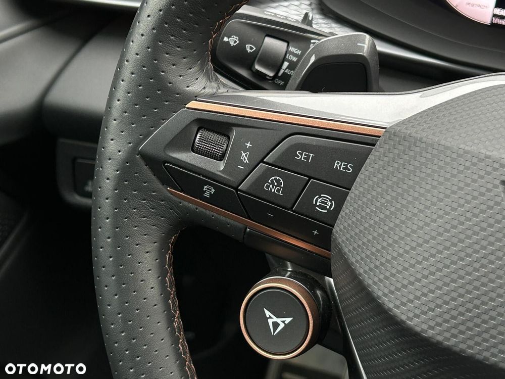 Cupra Terramar - 23