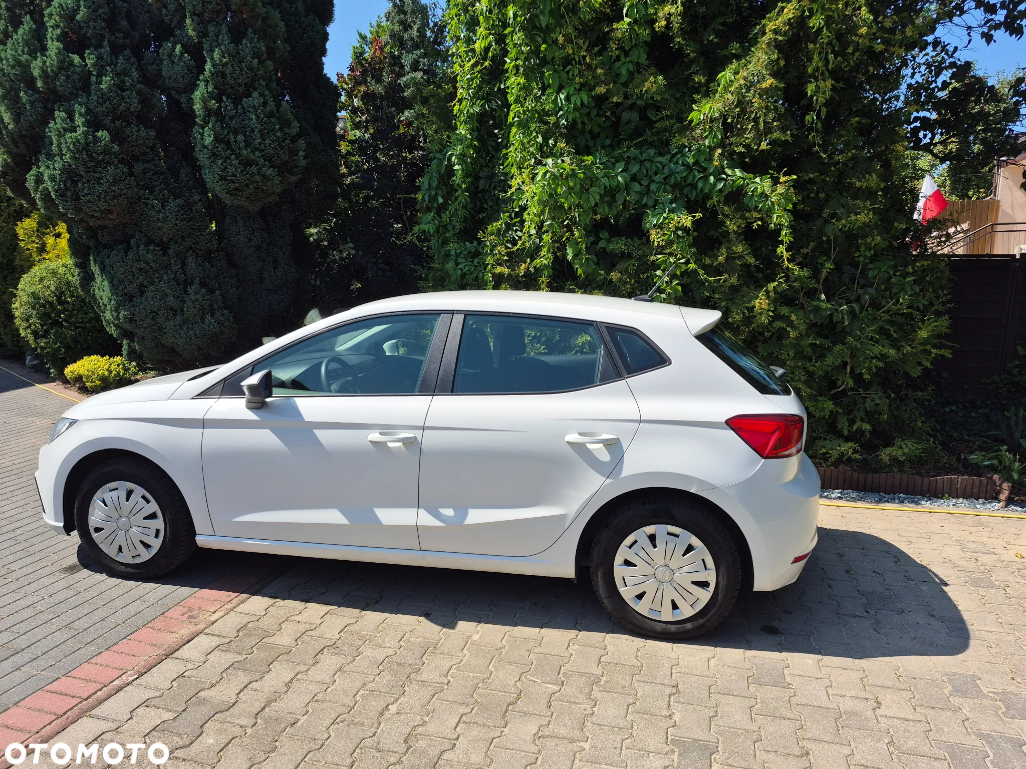 Seat Ibiza 1.6 TDI Reference - 4