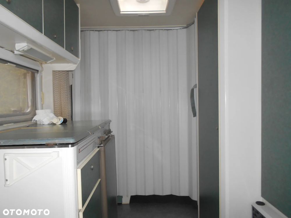 Kip GREY - LINE 42 T - 23