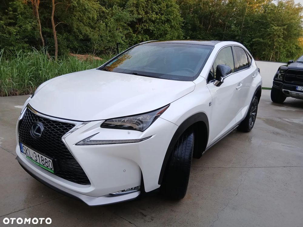 Lexus NX 300h F Sport AWD - 14