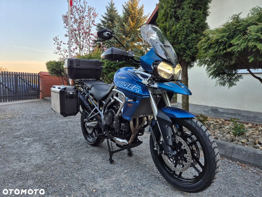 Triumph Tiger - 7