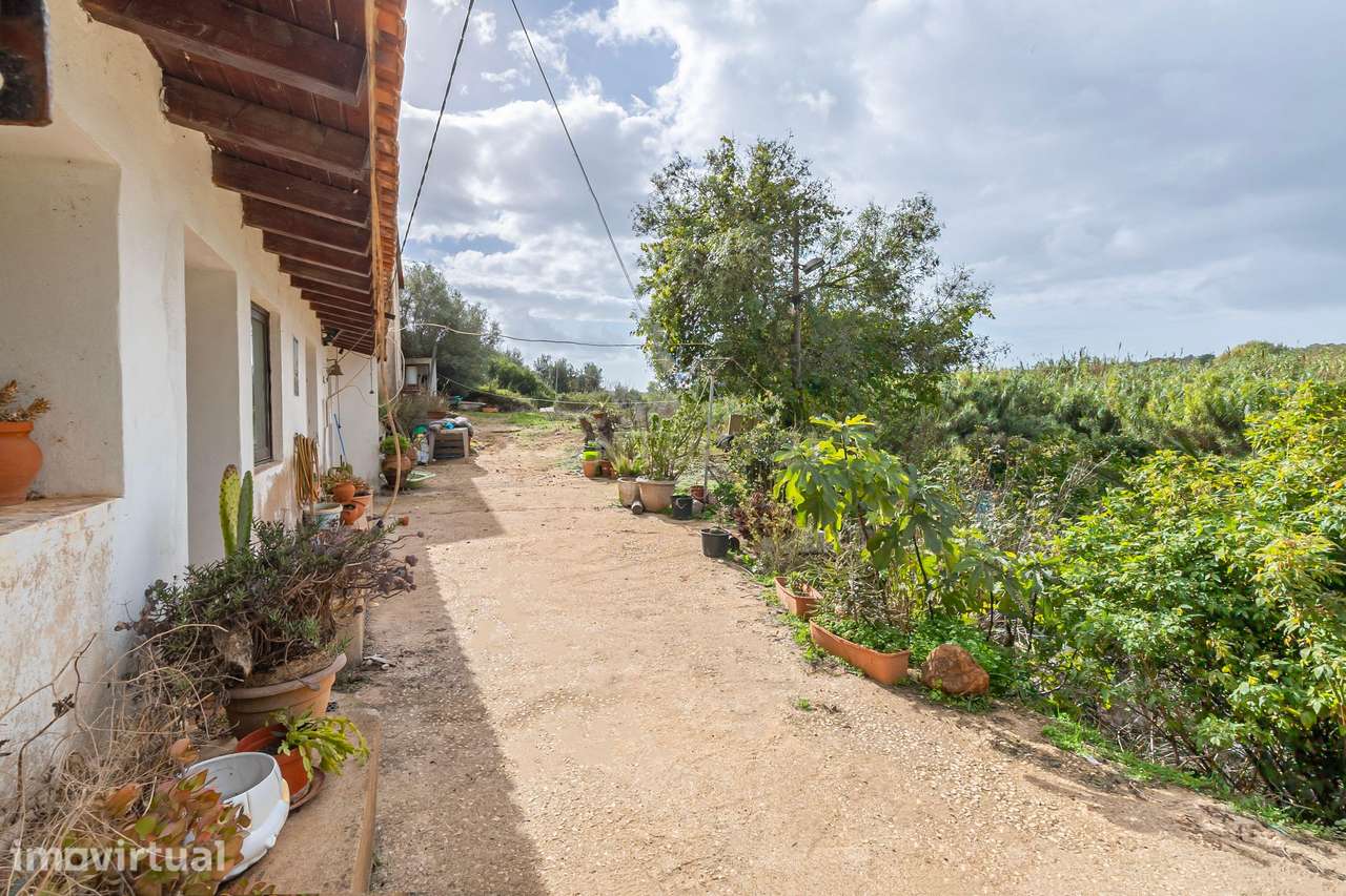 Terreno Misto com Moradia e Anexos – Oportunidade no Campo - Grande imagem: 2/32