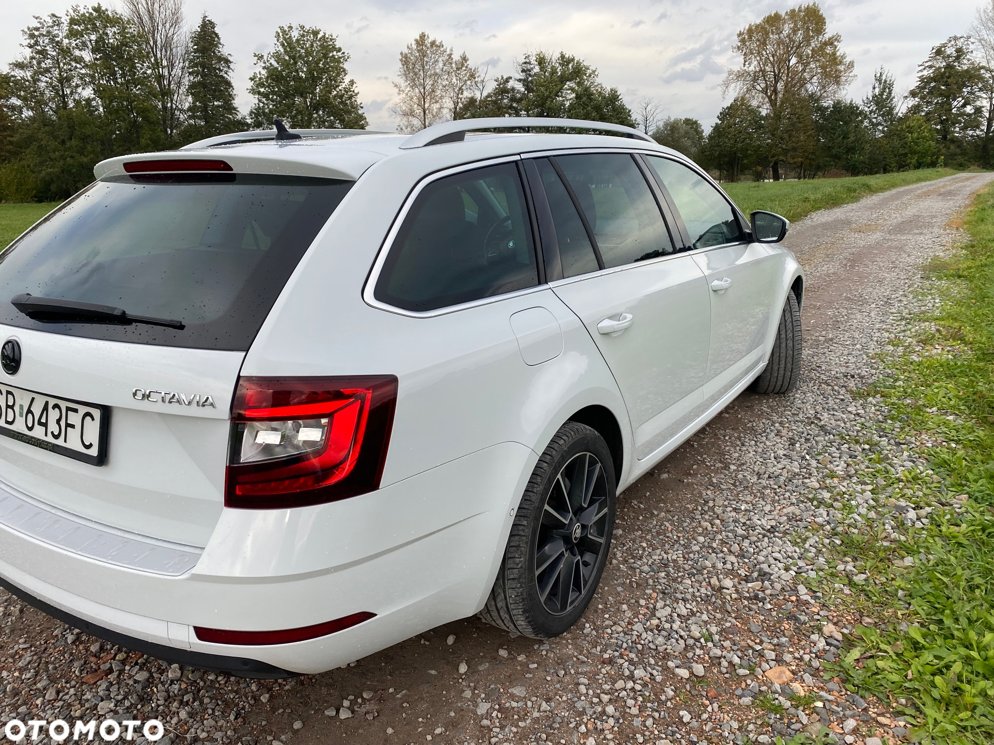Skoda Octavia 1.6 TDI DSG Style - 7