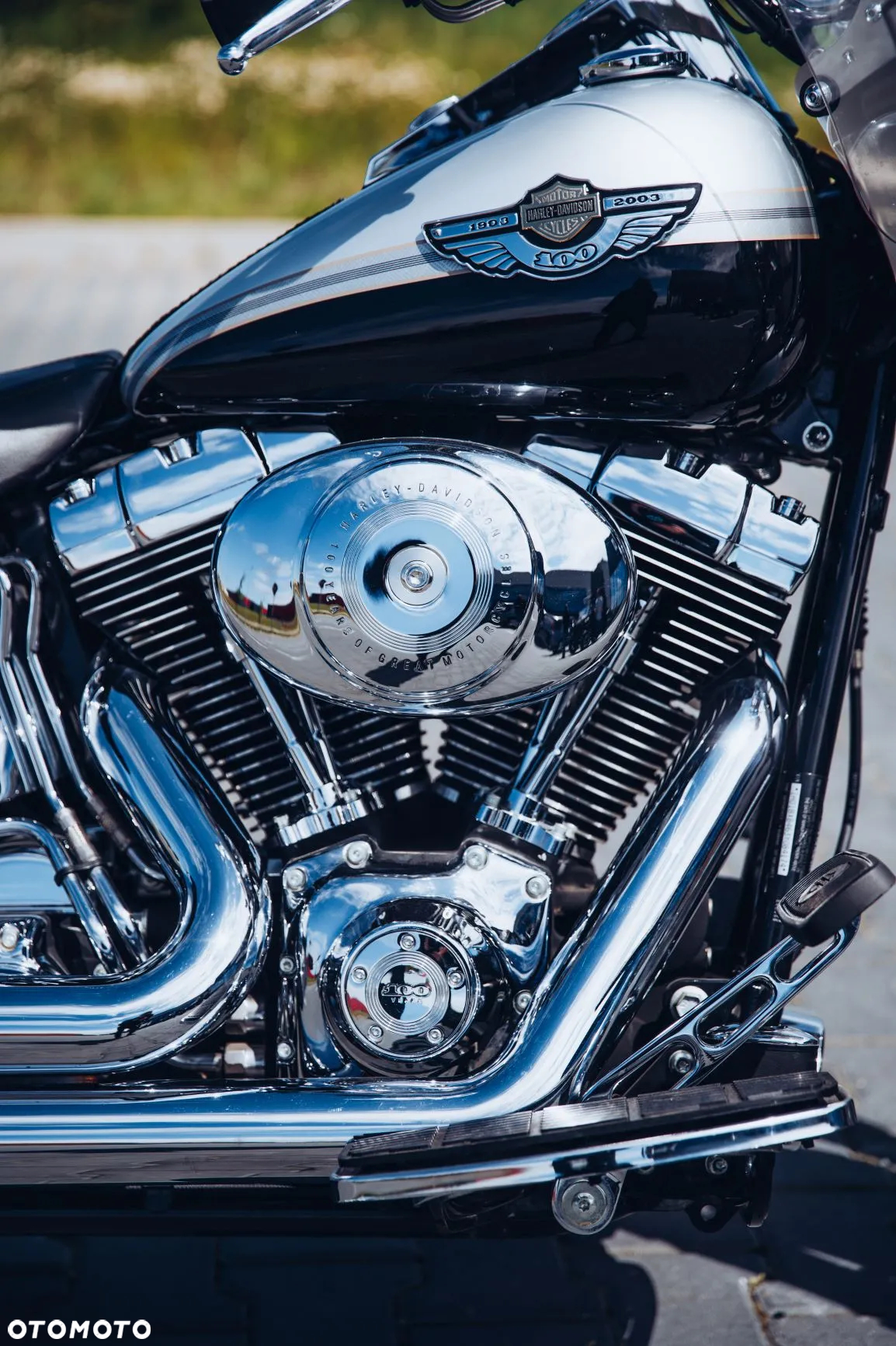 Harley-Davidson Softail Fat Boy - 9