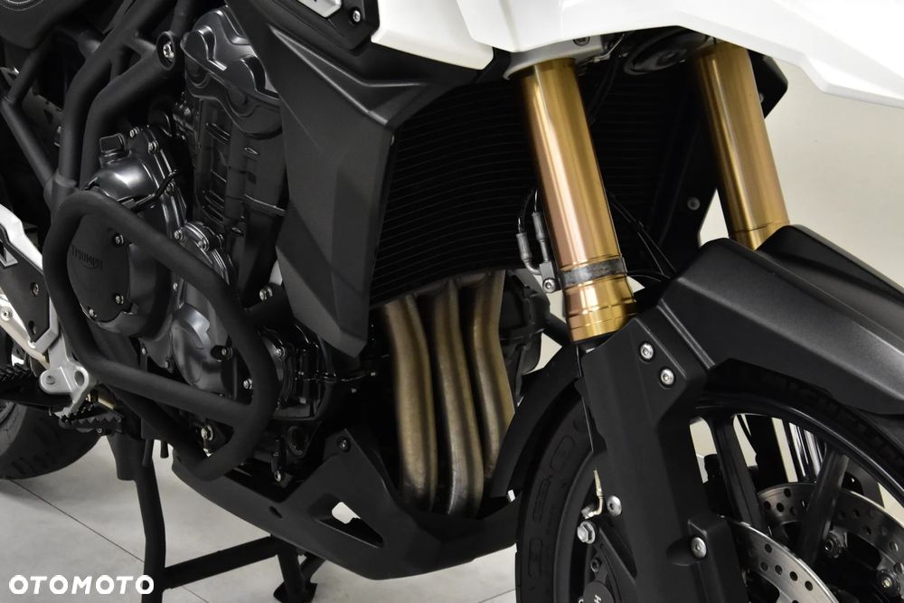Triumph Tiger - 19