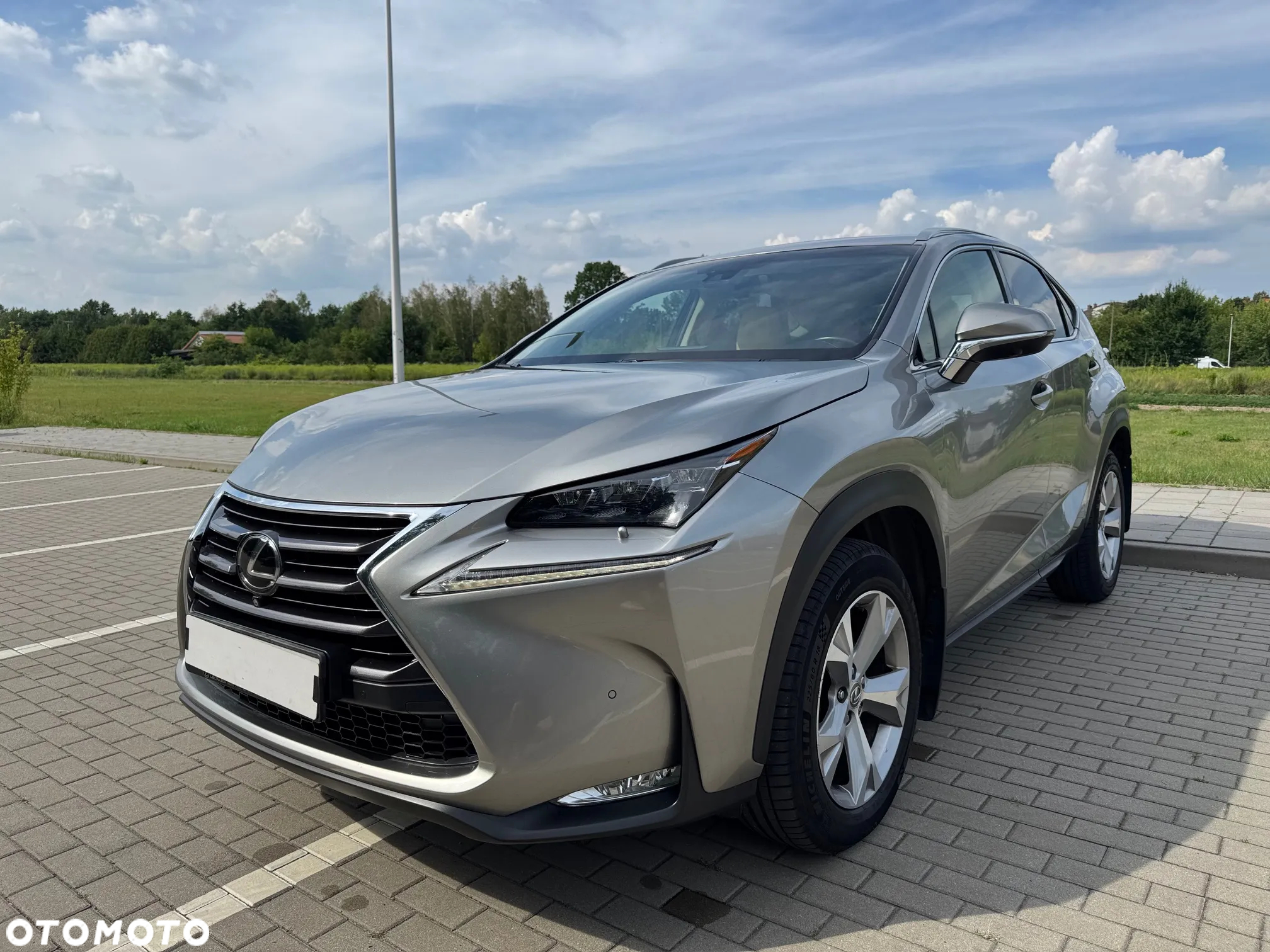 Lexus NX 200t AWD Luxury Line - 7