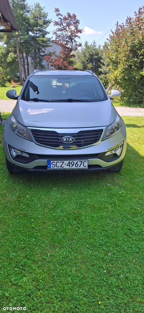 Kia Sportage - 1