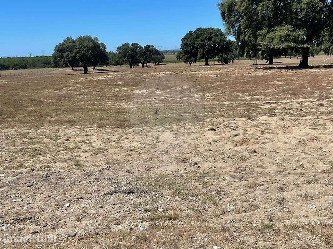 Terreno  para venda - Grande imagem: 3/13