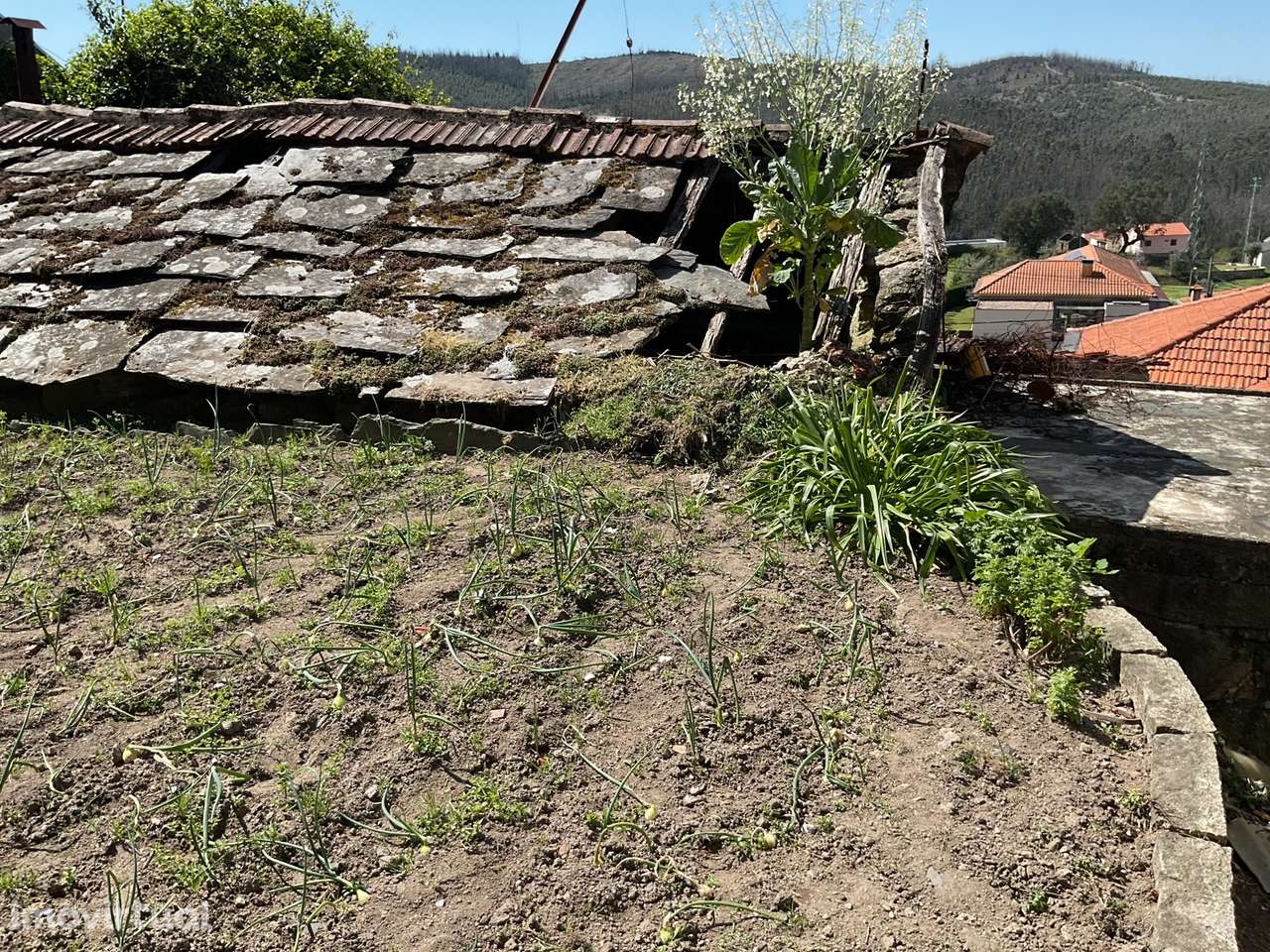 Moradia, 80 m², Capela - Grande imagem: 5/9