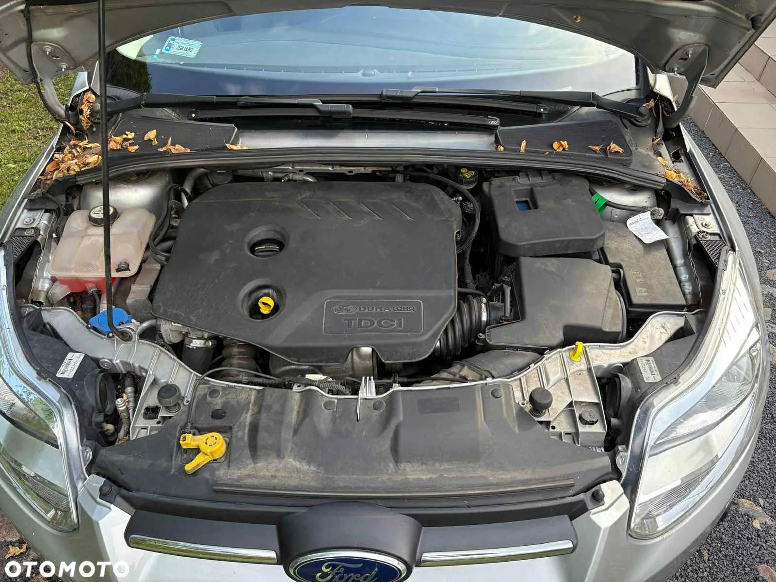 Ford Focus - 5
