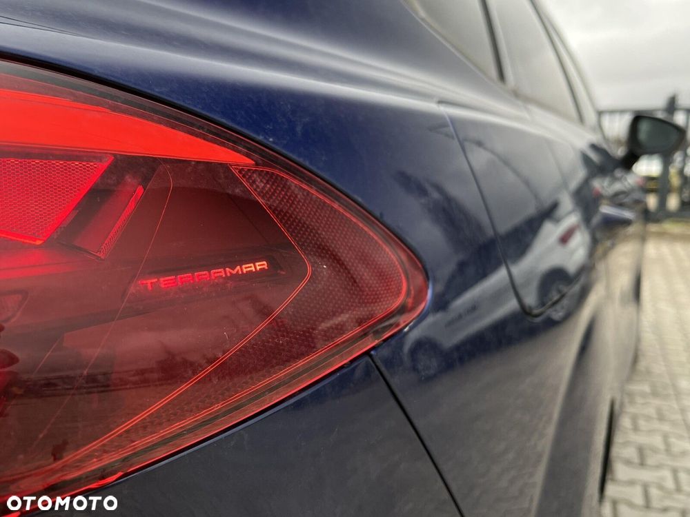 Cupra Terramar - 13