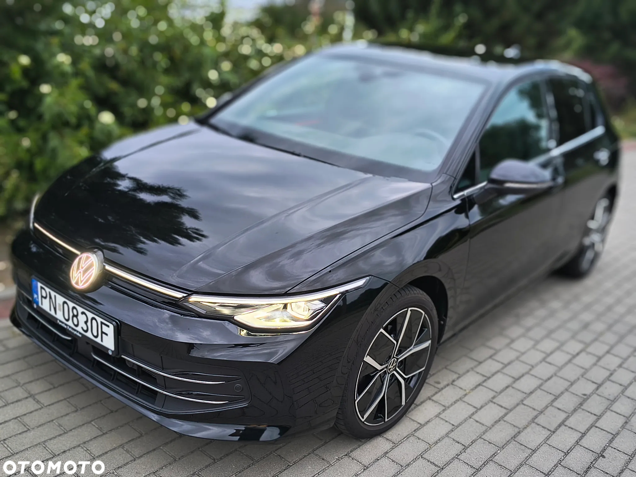 Volkswagen Golf VIII 1.5 TSI Edition 50 - 22