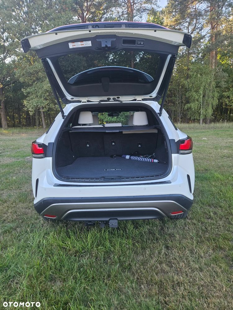 Lexus RX - 31