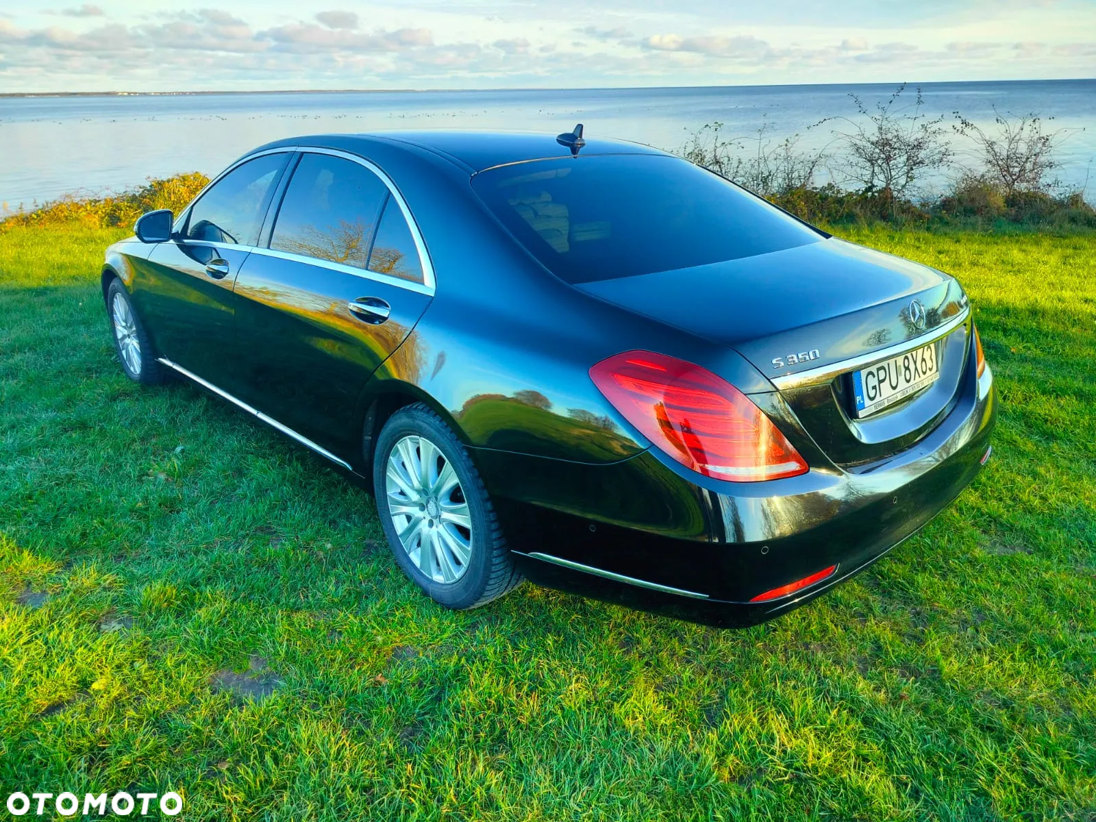 Mercedes-Benz Klasa S 350 (BlueTEC) d L 7G-TRONIC - 19