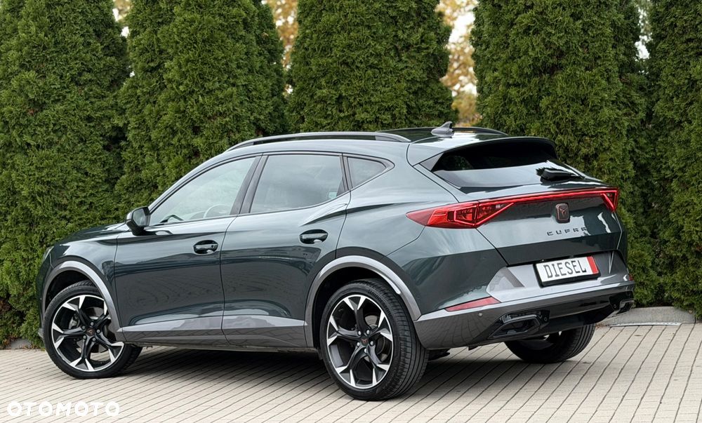 Cupra Formentor 2.0 TDI - 19